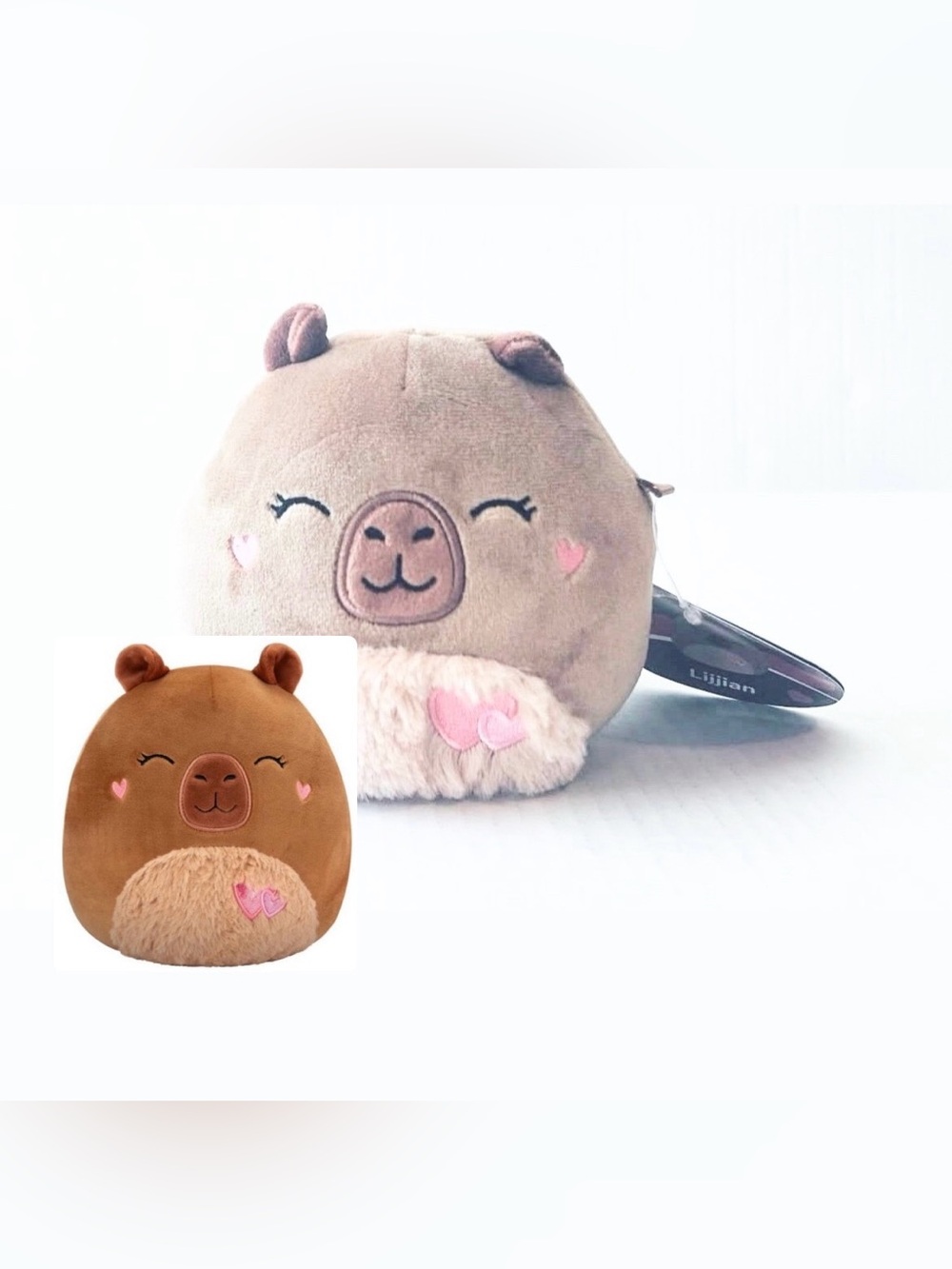 Squishmallows 5" Valentines Lijjian the Capybara